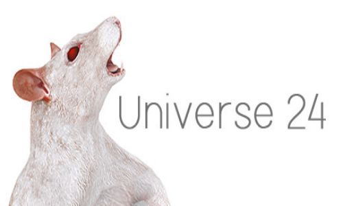 Download Universe 24 Free For PC
